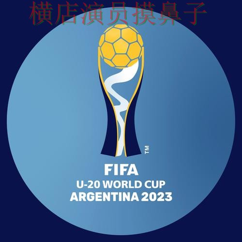 盘点世界杯投注平台：从用户反馈到直播观看全流程解析 - FIFA World Cup 2026